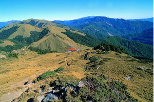 青青草原綿羊秀 合歡山賞景 日月老茶廠2D