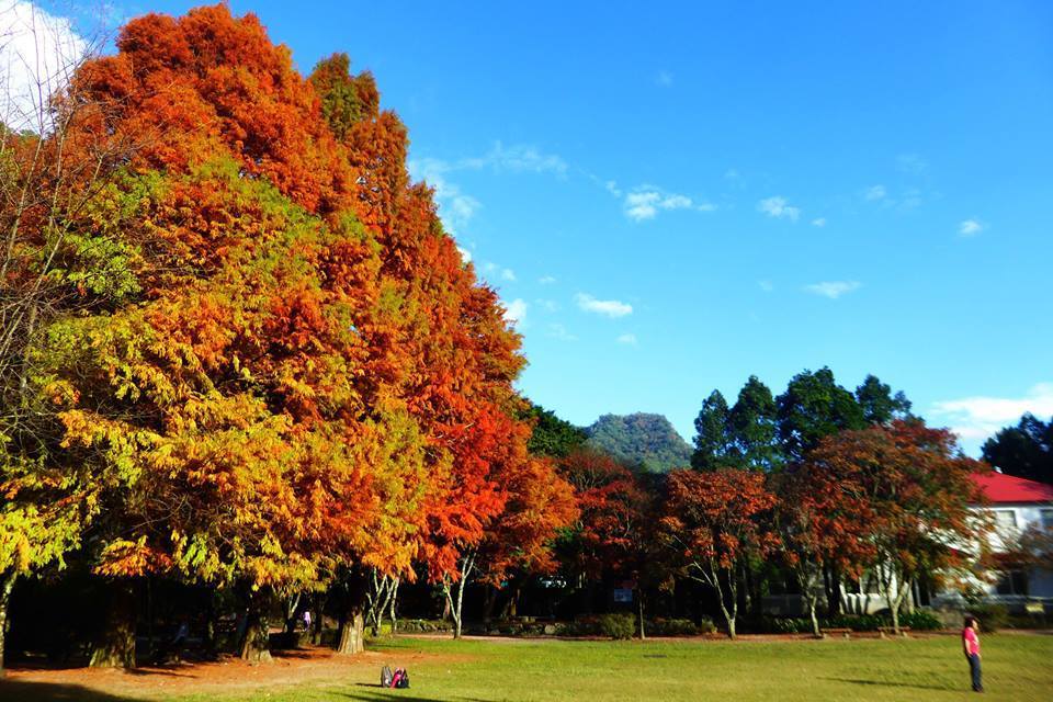 奧萬大森呼吸之旅 清境農場二日遊 2D